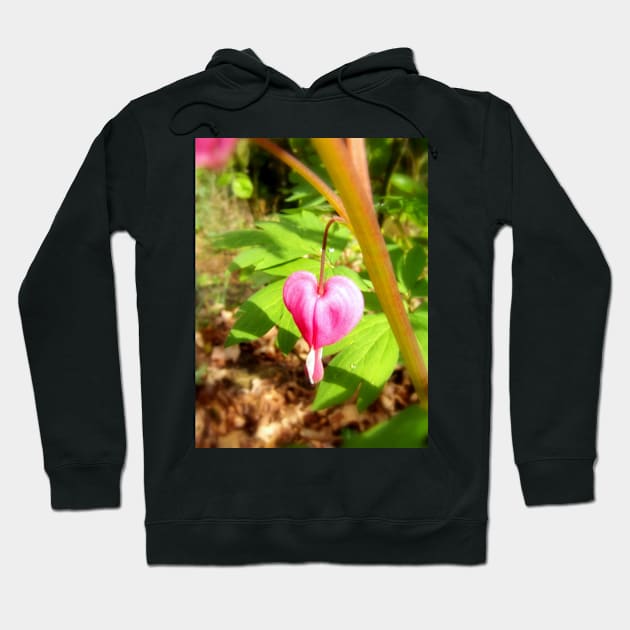 red bleeding hearts #9 Hoodie by DlmtleArt